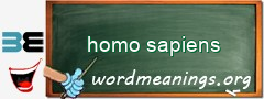 WordMeaning blackboard for homo sapiens